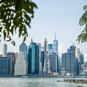 ZL website post image NY 2